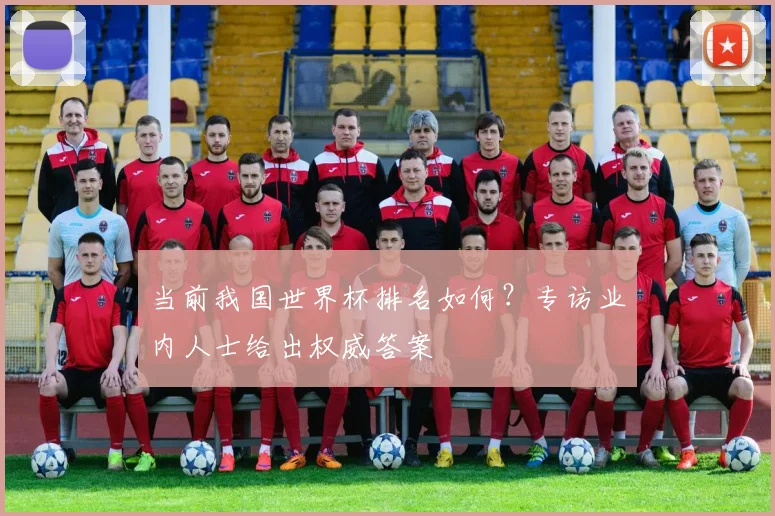 当前我国世界杯排名如何？专访业内人士给出权威答案