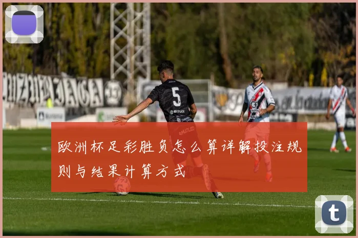 欧洲杯足彩胜负怎么算详解投注规则与结果计算方式