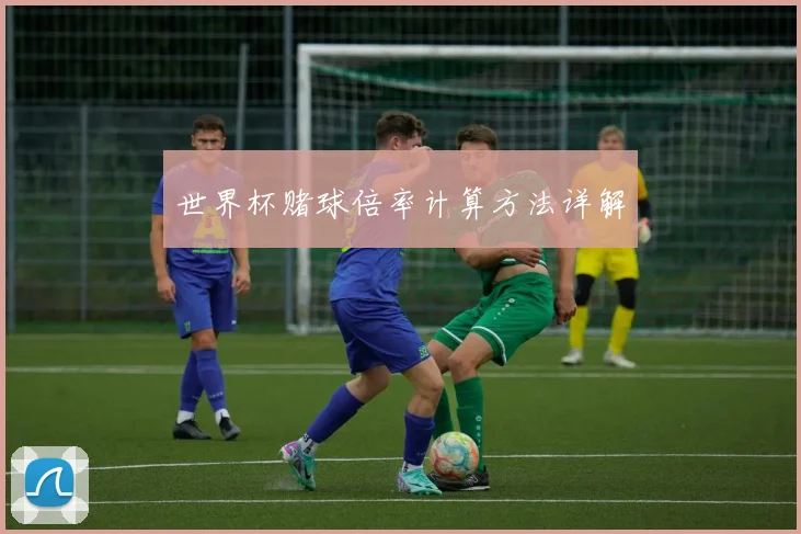 世界杯赌球倍率计算方法详解