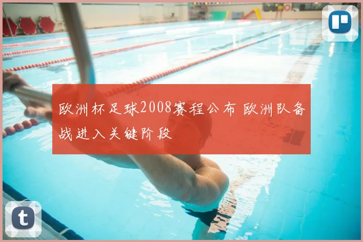 欧洲杯足球2008赛程公布 欧洲队备战进入关键阶段