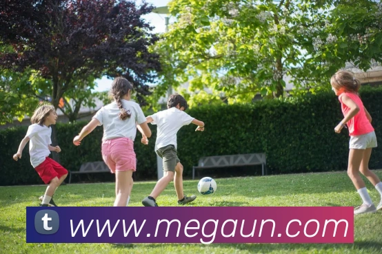 易倍emc官方服务体系